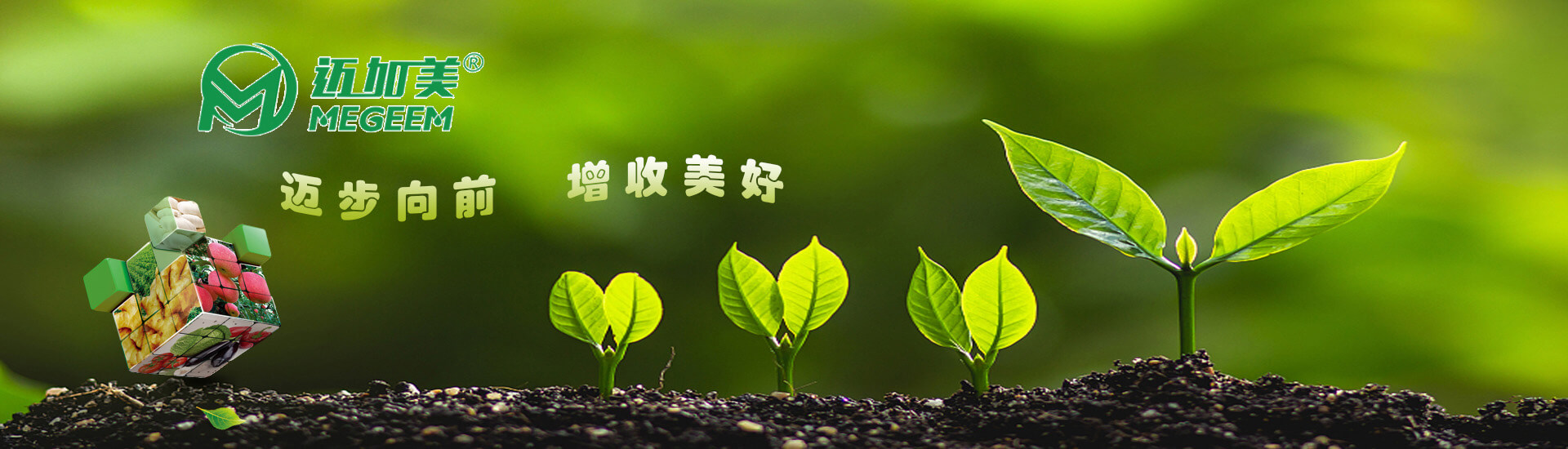 电脑轮播图6